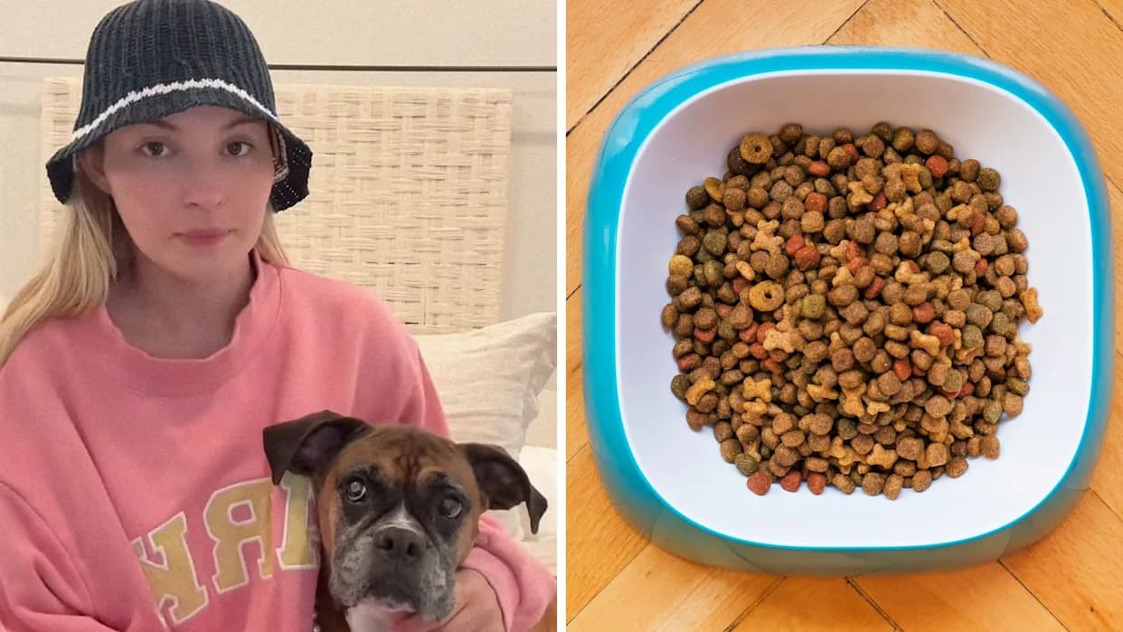 Vlasnica tvrdi: bokser Poppy doživeo napade 30 minuta nakon obroka Rachael Ray Nutrish — raste broj pritužbi