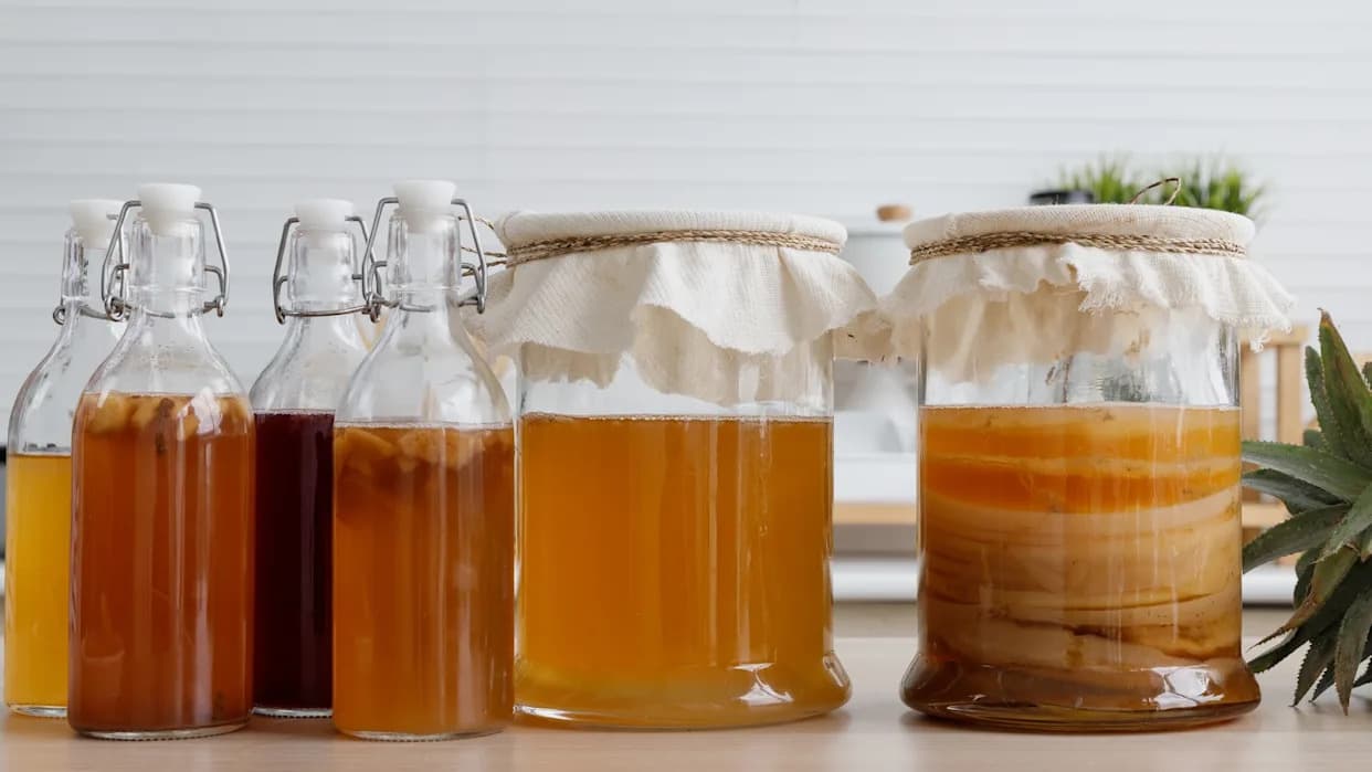Pet vrsta čaja, pet različitih kombucha: kako čaj menja ukus, hemiju i potencijalne koristi