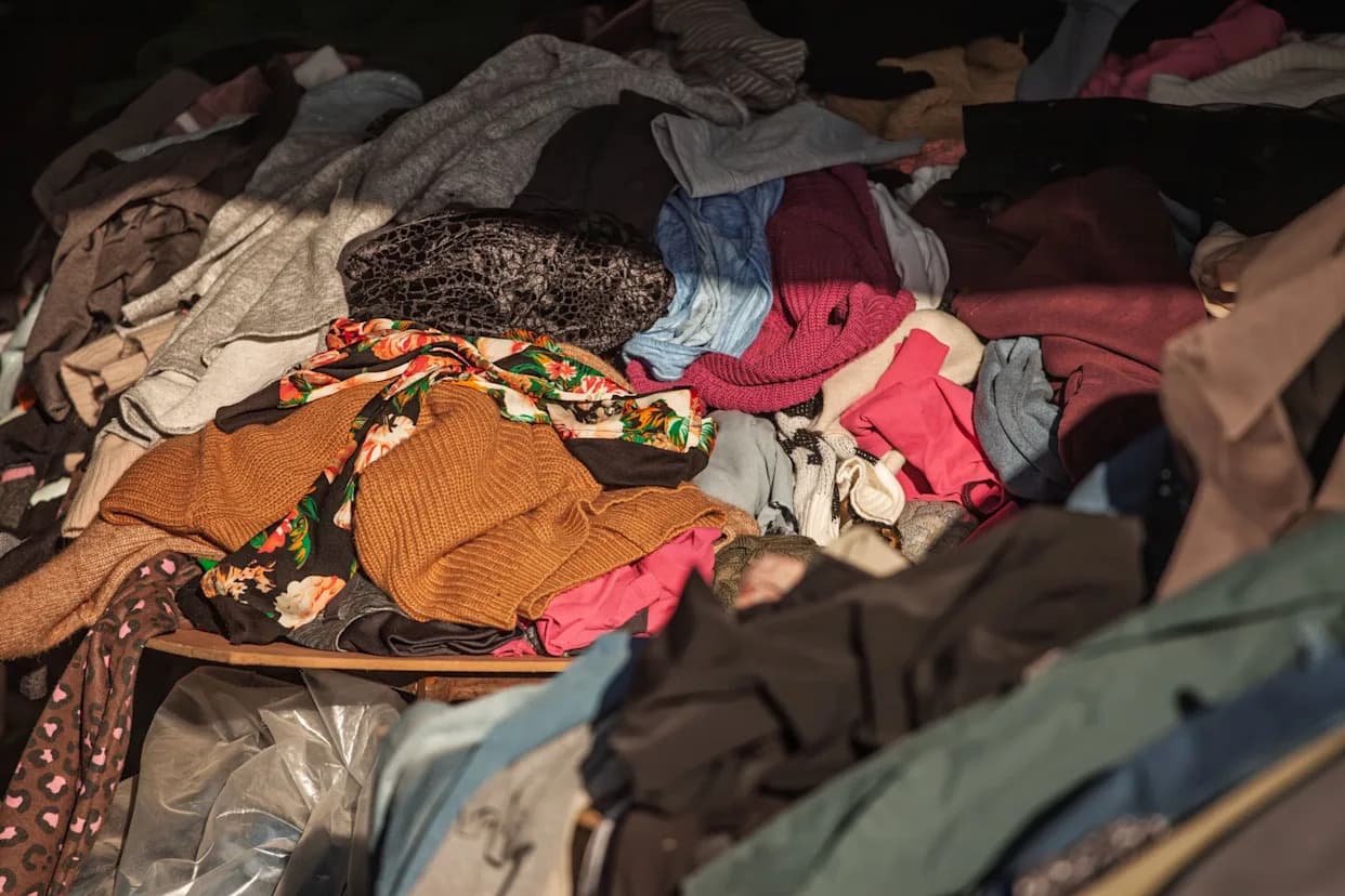 Nemačka Se Pridružila Francuskoj I Holandiji — EU Da Pooštri Pravila Protiv 'Ultrabrze' Mode