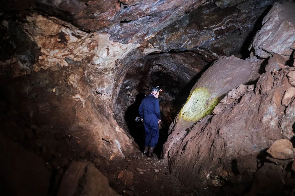 Svi Analizirani Fosili Homo naledi Iz Pećine Rising Star Su Ženke — Šta To Znači?