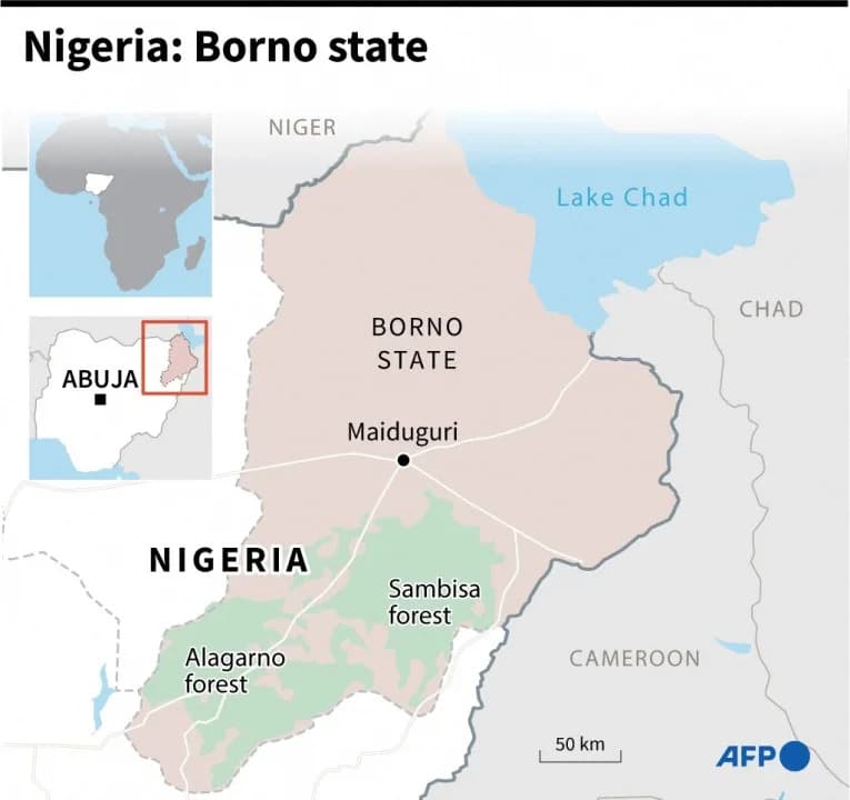 Naoružani Napadači Oteli Učenike Tokom Ispita U Borno — Vojska Spasla 10, Potraga Se Nastavlja