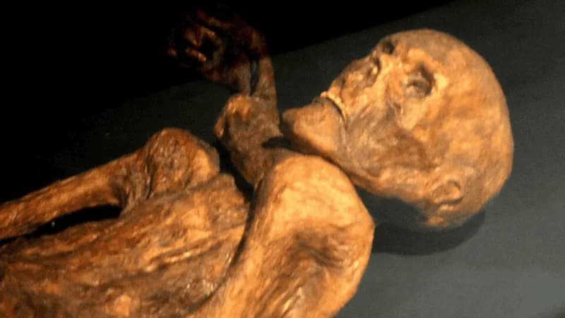 Otkriveni mikroorganizmi u mumiji Ötzija (5.300 godina) — Iceman kao živi ekosistem