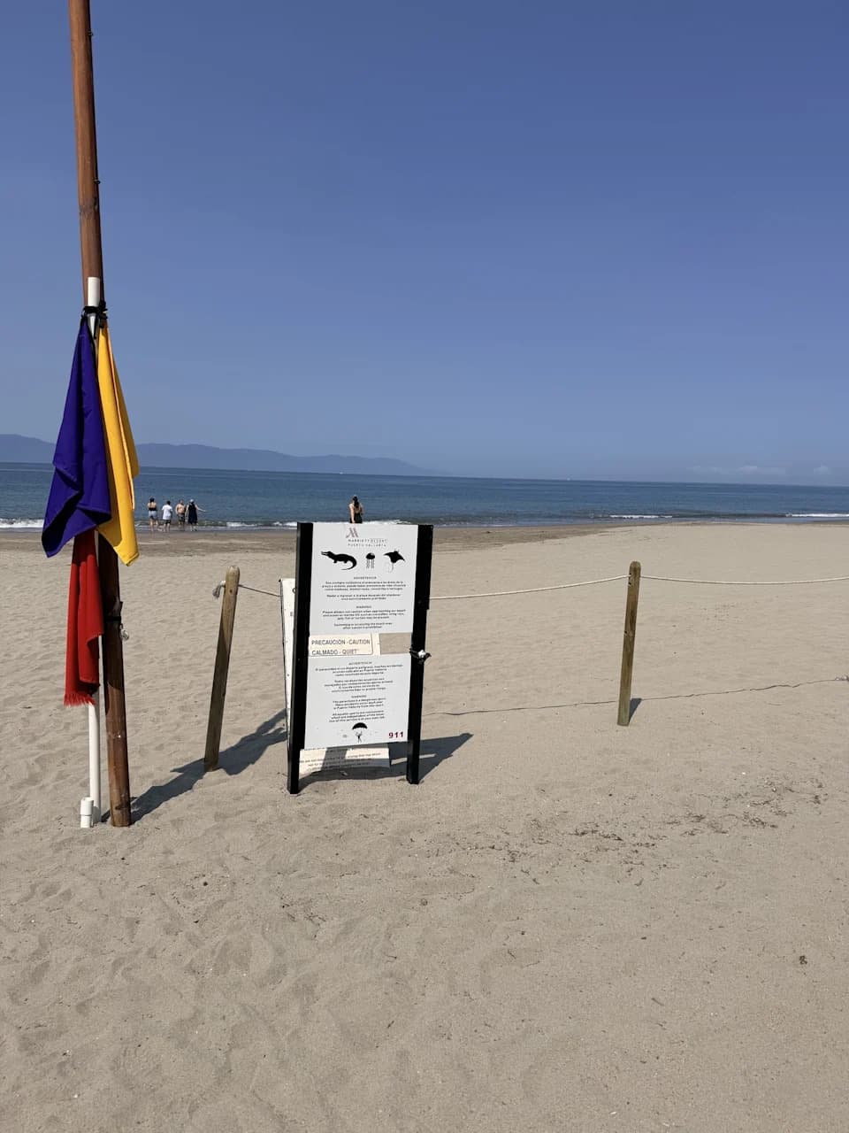 Tragedija u Puerto Vallarti: 28-godišnjak ubijen u napadu krokodila na plaži ispred Marriott-a