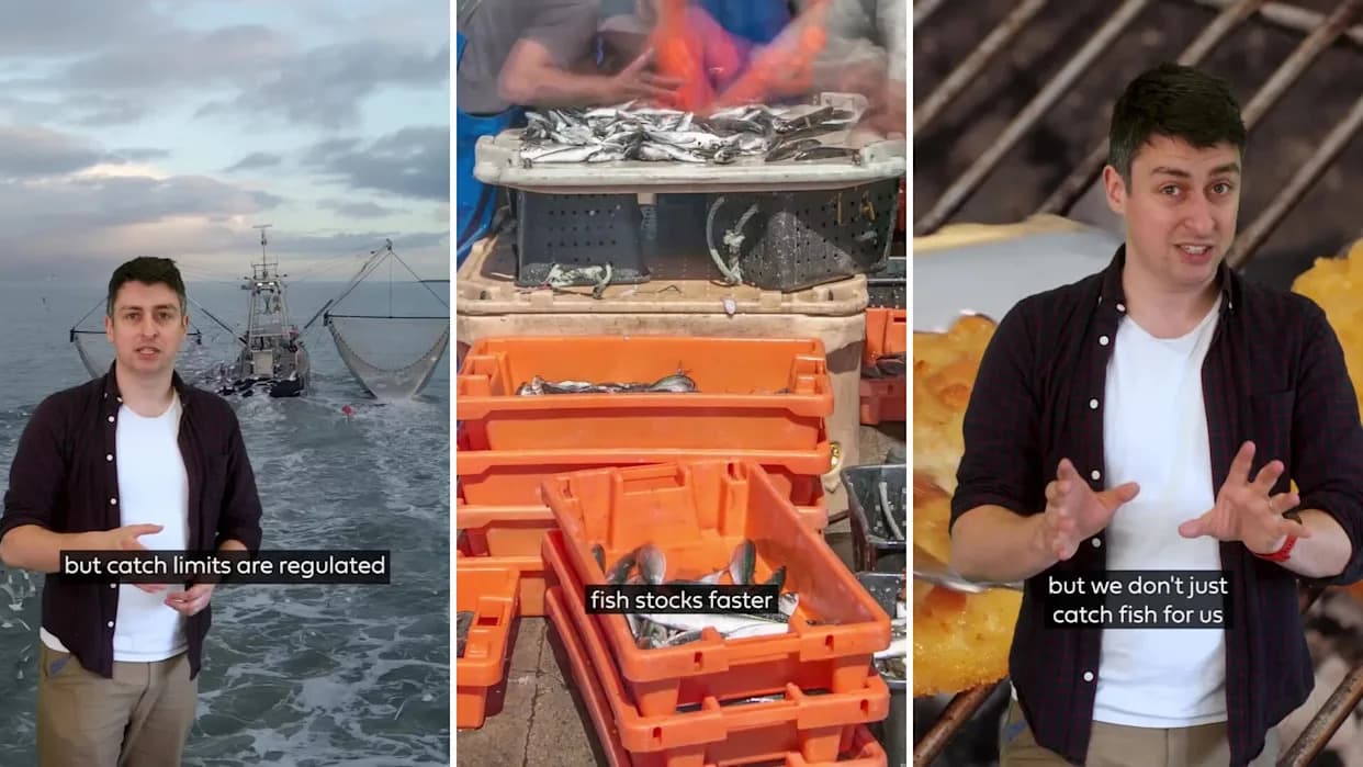 Okeani U Nevolji: Kako Prekomerni Ribolov, Bycatch I Travljenje Dna Ugrožavaju Hranu I Klimu