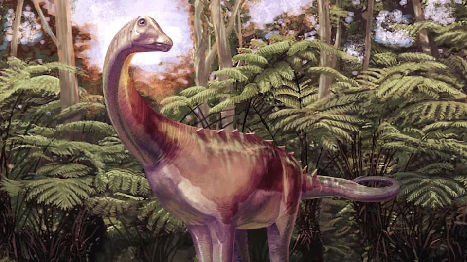 Prvi dinosaurus sa Antarktika identifikovan kao titanosaurus — fragment vertebre star 82 miliona godina