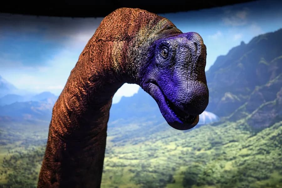 Fosil iz fioke potvrđen kao prvi dinosauruski fosil prikupljen na Antarktiku
