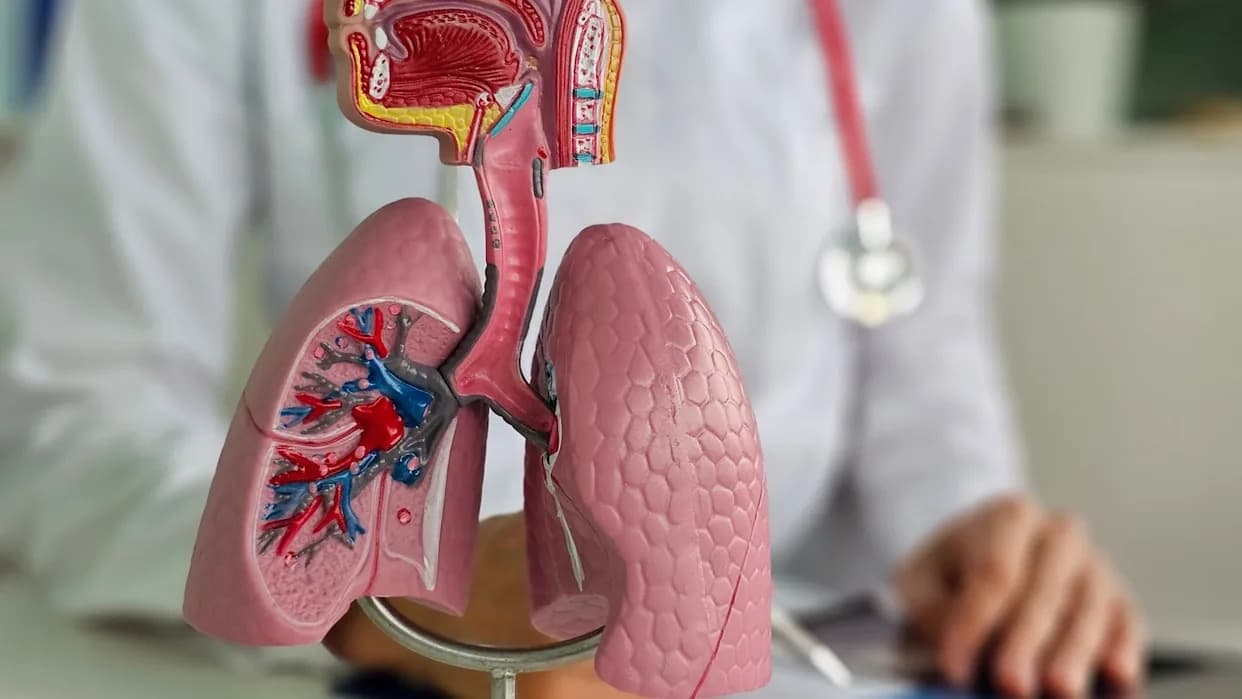 Median Technologies dobio CE oznaku za AI softver eyonis LCS — širi dostupnost za skrining raka pluća u Evropi