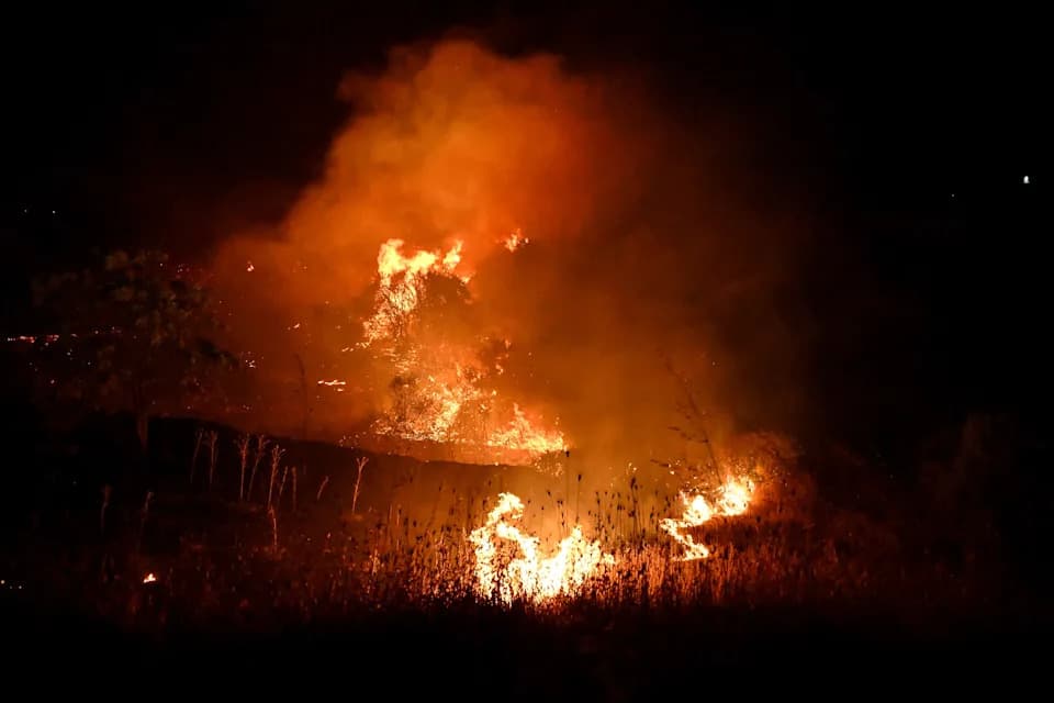 Brzo Šireći Požar Severno Od Soluna: Evakuacije, Objekat Sa 157 Osoba Premesten, Priveden 76-Godišnjak