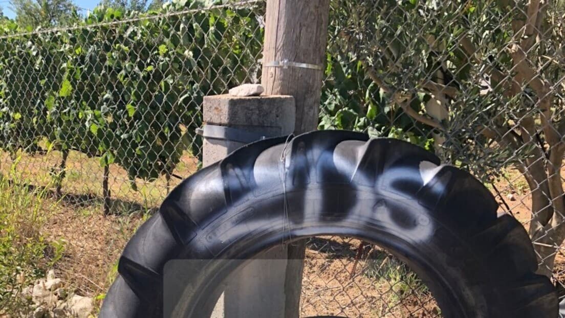 Ustaški grafiti u Biljanima Donjim kod Zadra: SNV traži hitnu istragu i uklanjanje uvredljivih poruka