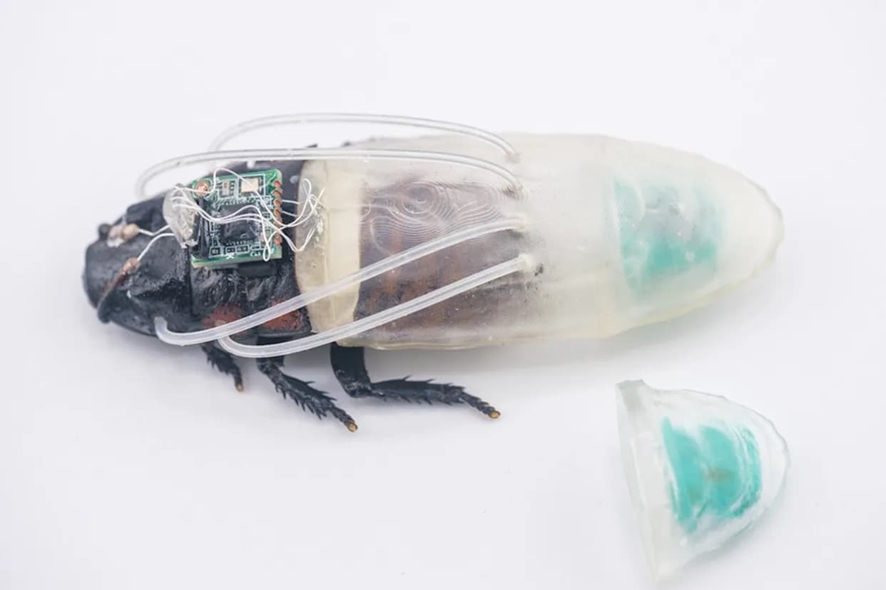 Cyborg žohari koji rone: naučni tim opremio insekte 3D-odelima koja proizvode kiseonik