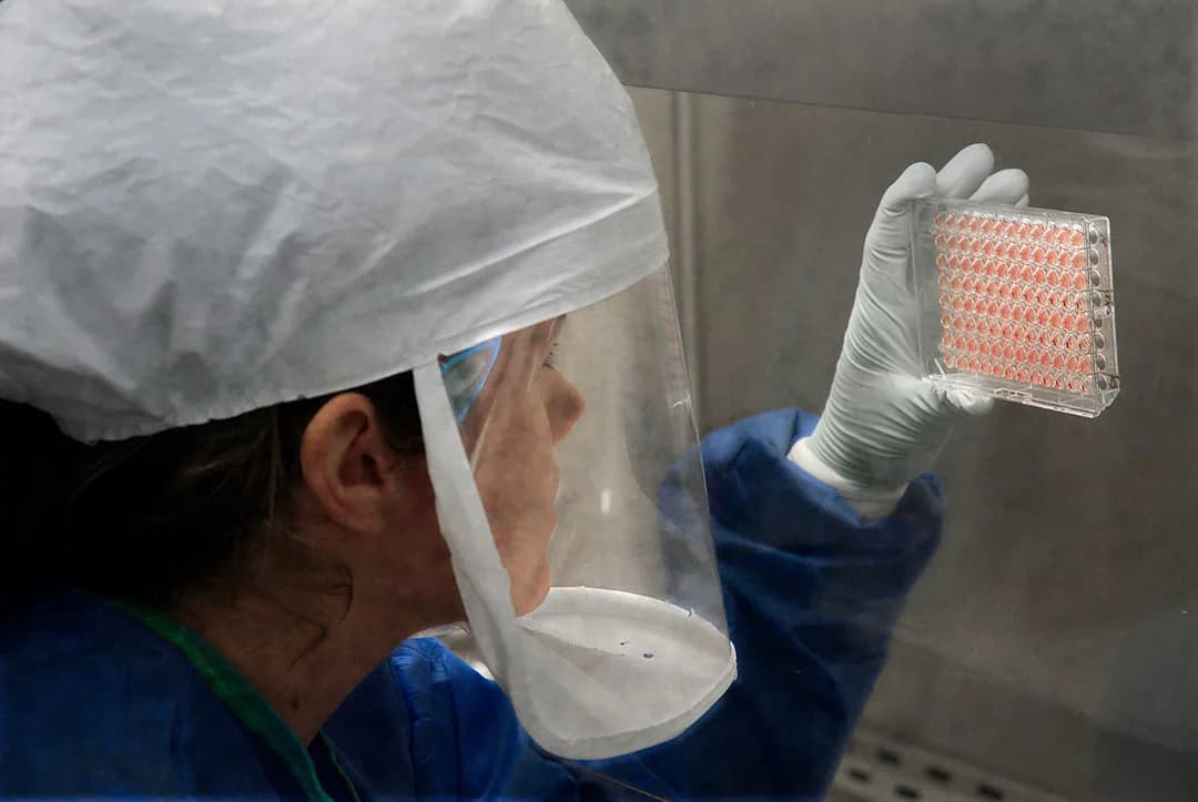 Nova AI mapa rizika: Katalog 239 RNA virusa koji mogu da pokrenu sledeću pandemiju