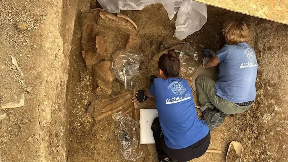 Otkrivena 2.500 godina stara grobnica 'ratničkog princa' u Sirolu — dvokolica, šlem i bogati nalazi Picena