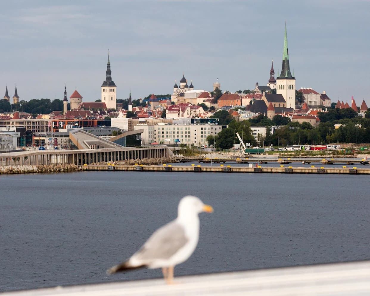 Evropa Predvodi Yaleov Indeks Zaštite Okoline, SAD Pala Na 27. Mesto