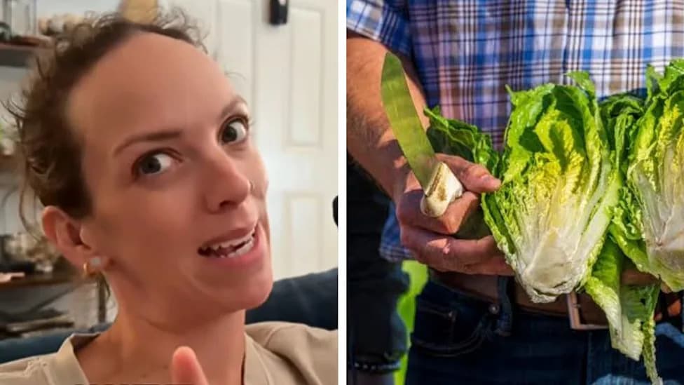 Pakovana salata pod lupom: mitovi o hloru i „14 dana u gasu“ razotkriveni