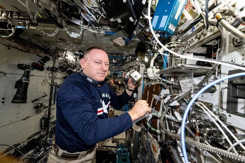 Proboj u svemiru: Auxilium biotisao jetru i bubrege na ISS-u