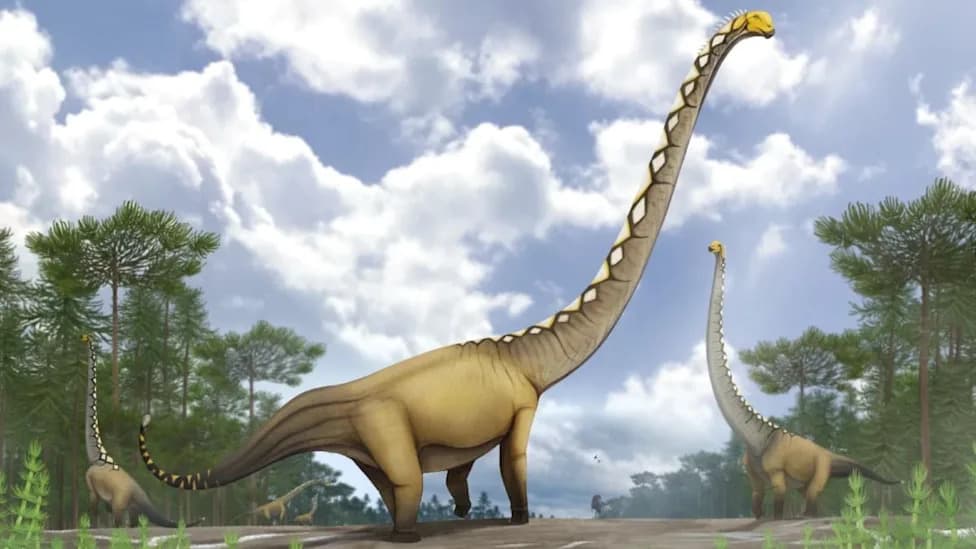 Otkriven Nov Gigant: Uragasaurus kalasinensis — Nova Vrsta Dugovratog Sauropoda Iz Tajlanda