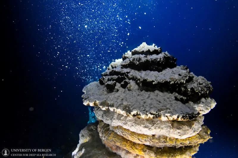 IUCN: Duboko-morsko rudarstvo preti mekušcima sa hidrotermalnih izvora — 62% vrsta u riziku