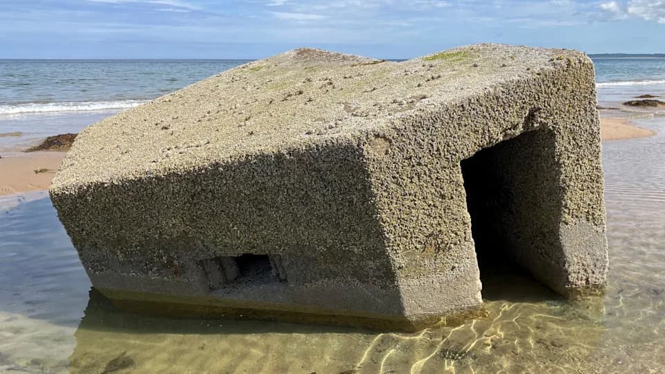 Otisci iz 1940: Imena, crtani likovi i parola uklesani u anti-tenkovskim blokovima na Tentsmuiru