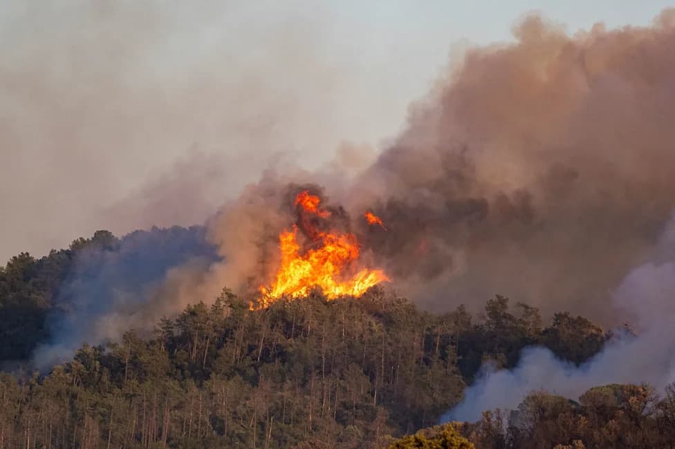 Tragičan požar u Andaluziji: najmanje 12 poginulih u Los Gallardosu