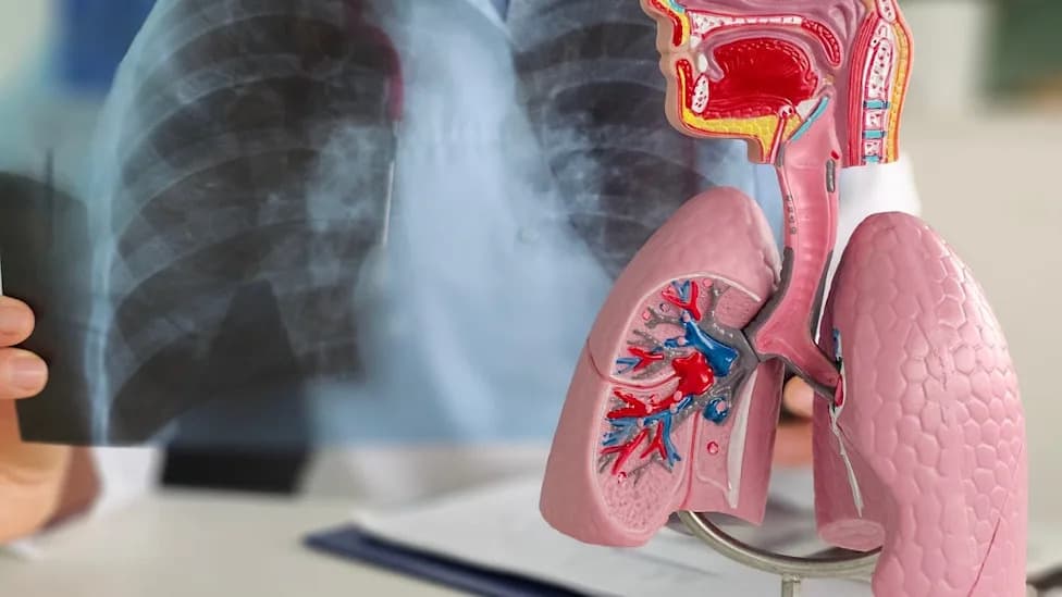 Roche Dobio CE Mark Za Elecsys IGRA TB — Brži i Automatizovan Test Za Latentnu Tuberkulozu