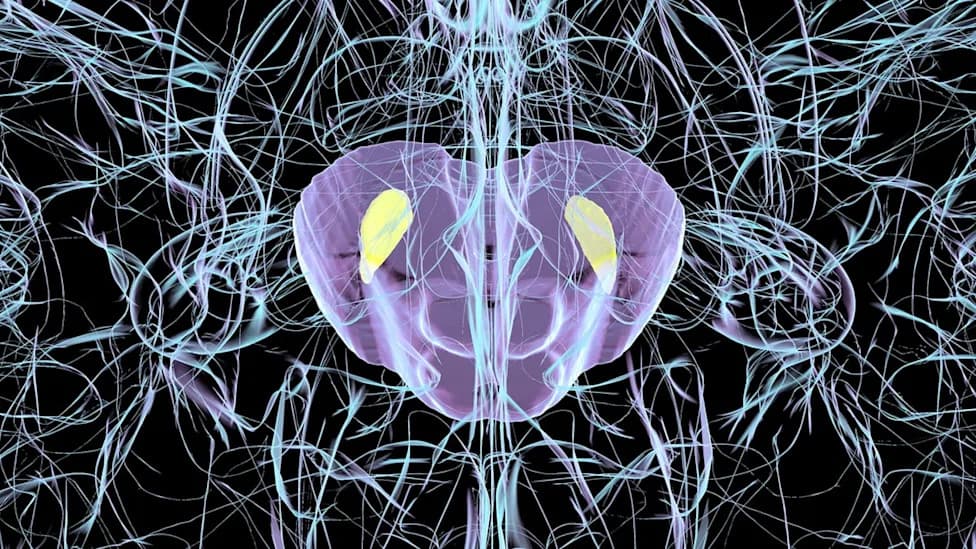 Uobičajen mišji virus može izazvati oštećenje mozga slično Parkinsonovoj bolesti kod miševa