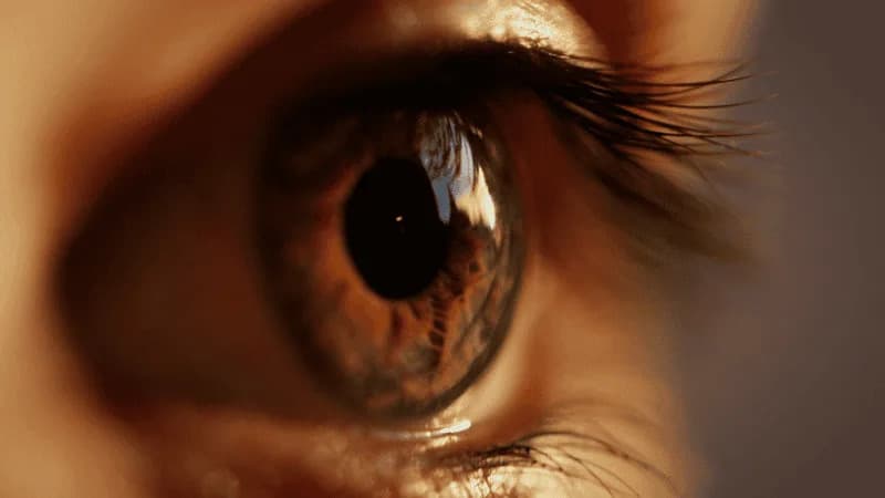 PRIMA: Mali retinalni implant koji nekima vraća vid i omogućava čitanje