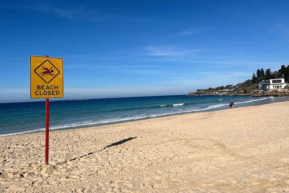 Posle napada velike bele ajkule: New South Wales ulaže više od A$120 miliona u dron nadzor plaža