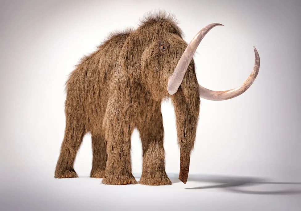 Megafauna Amerike Nestala Zbog Ljudi — Nova Studija Pokazuje Kako