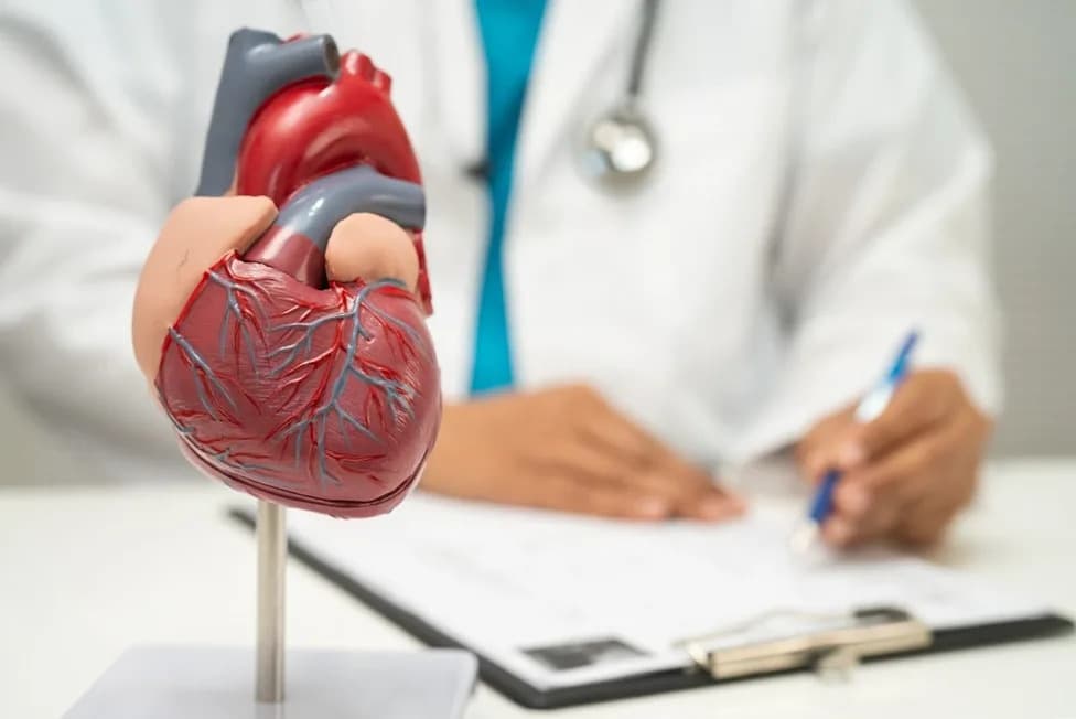 Obicetrapib Pokazuje Potencijal U Prevenciji Alchajmerove Bolesti Kod Nosilaca APOE4
