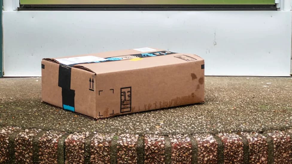 Par u Bengaluru otvorio paket i pronašao živu kobru zalijepljenu za "Amazon Prime" traku