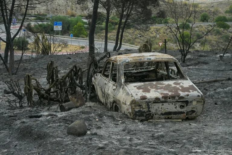 Tragedija u Almeriji: 13 poginulih, među njima petoro Britanaca — požar uništio 7.000 ha