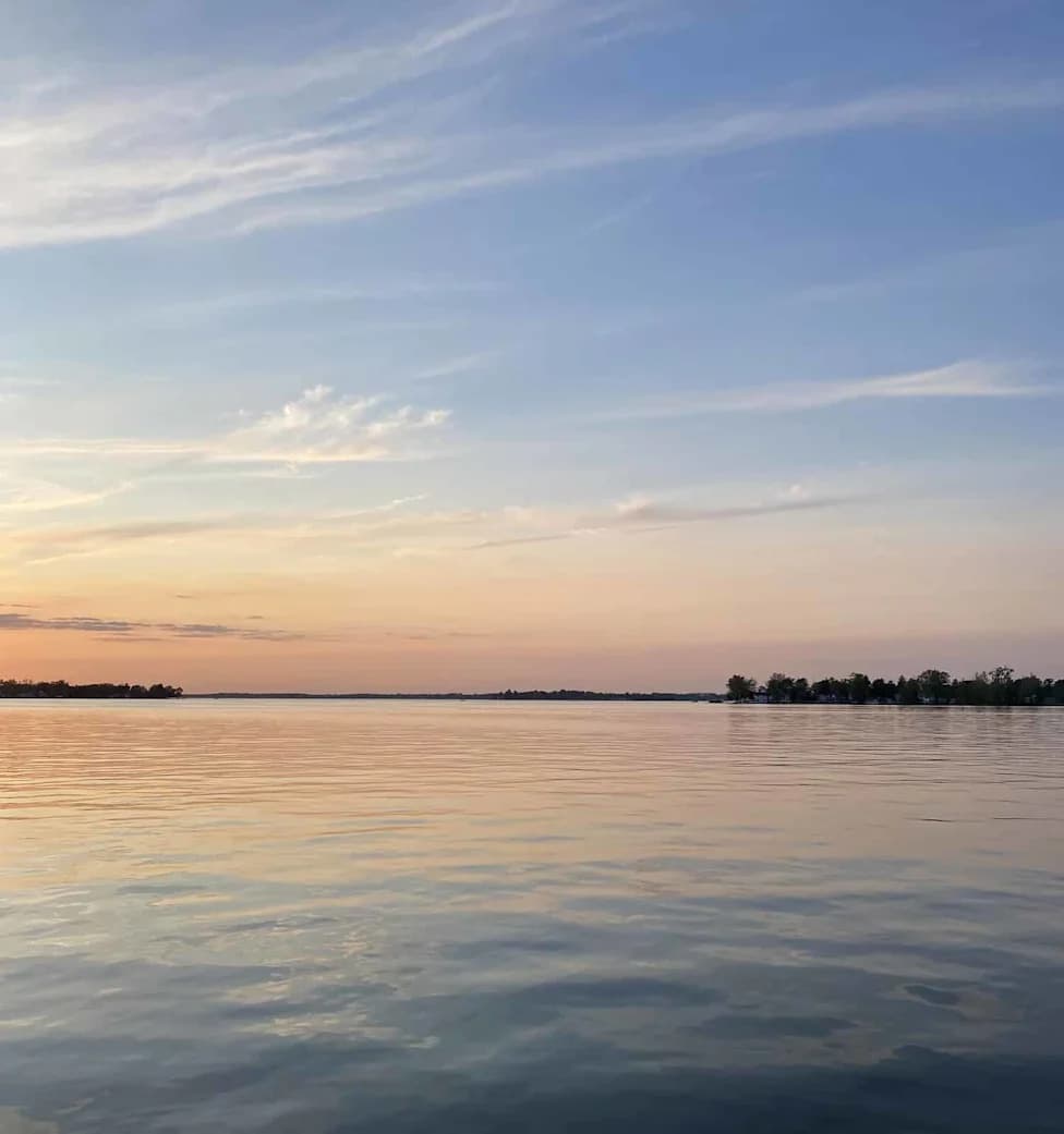 Sukobi i sušenje: Kako je Jezero Čad postalo neočekivano utočište za ptice