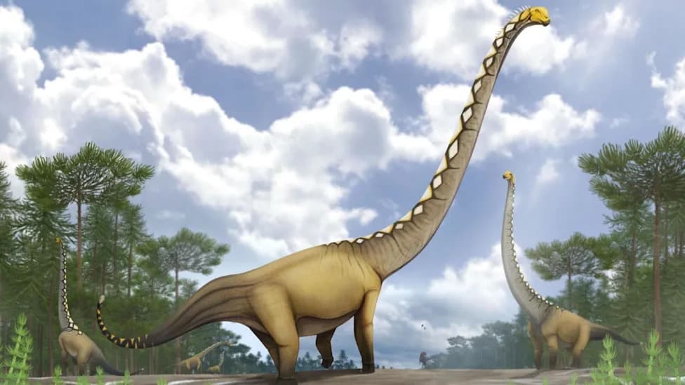 Otkrivena nova vrsta dugovratog dinosaura u Tajlandu — Uragasaurus kalasinensis (do 20 m)