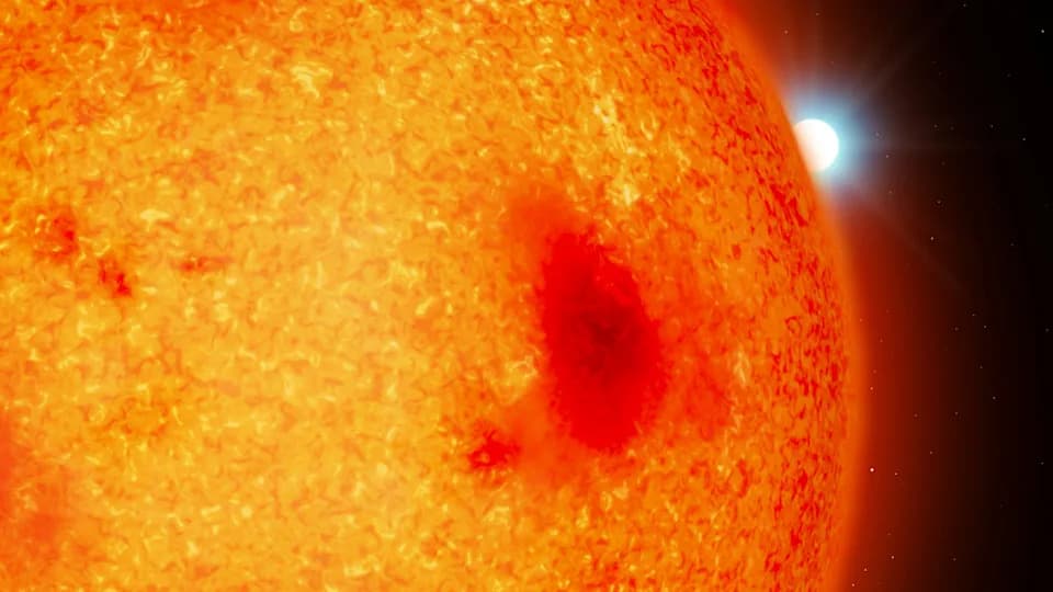 Otkrivena četiri skrivena supergusta bela patuljka u našem kosmičkom susedstvu