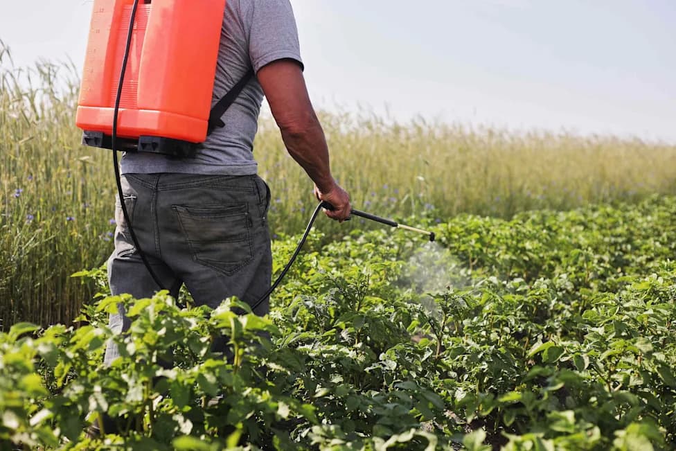EPA Odobrila Tri Nova PFAS Pesticida — Jedan Sumnjiv Za Kancerogenost