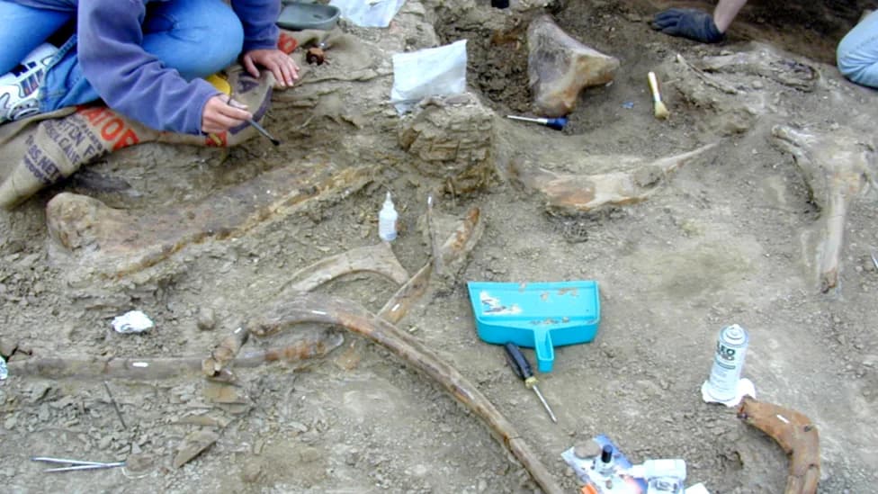 T. rex Ugrizao "Patkastog" Biljojeda — Otisci Zuba Još Su Vidljivi