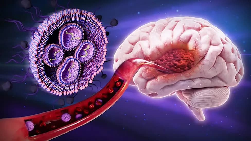 Nanopartikuli Obloženi Manozom Značajno Smanjuju Glioblastom Kod Miševa