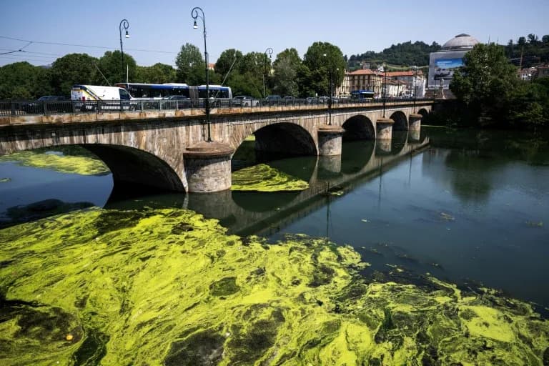 Alge Prekrivaju Reku Po Kod Torina: Topla Voda i Nutrijenti Sa Farma Izazivaju Masovno Cvetanje