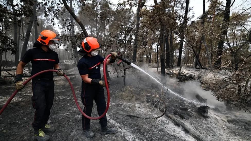 Dobrovoljni vatrogasac (18) osumnjičen za požar u šumi Fontainebleau — izgorelo oko 10% šume