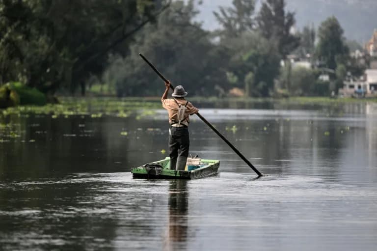Video Kartela U Xochimilcu Pobudio Strah: Da Li Se Bezbednost U Mexico Cityju Mijenja?