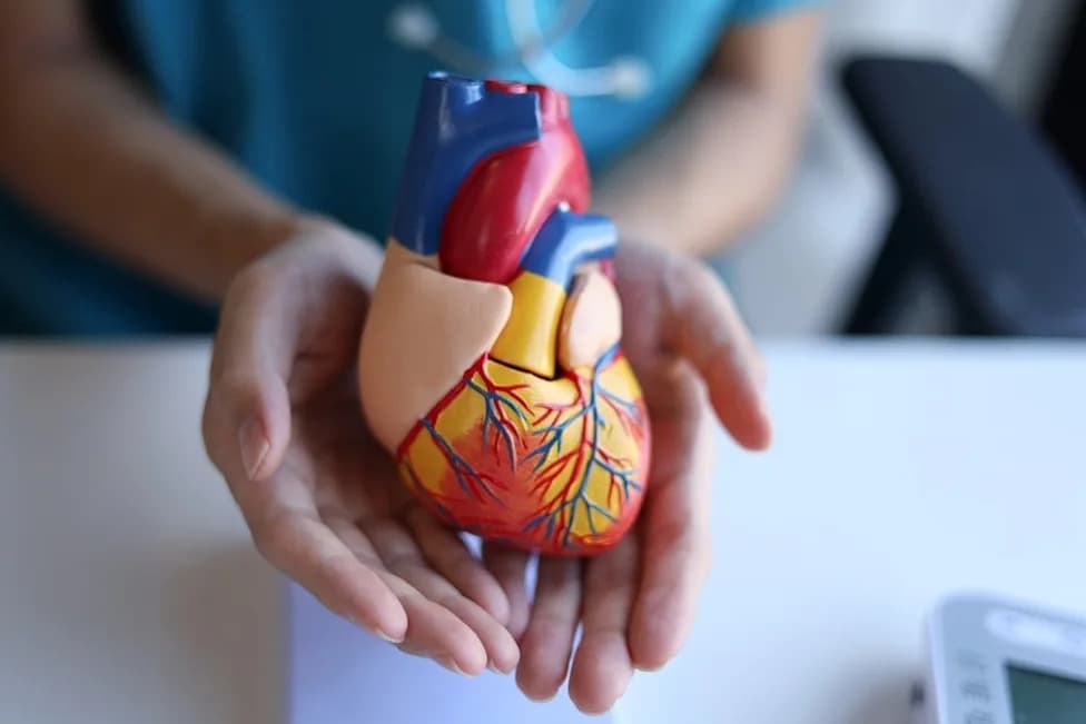 NICE preporučio Kerendiu za NHS — nova opcija u lečenju srčanog zatajenja