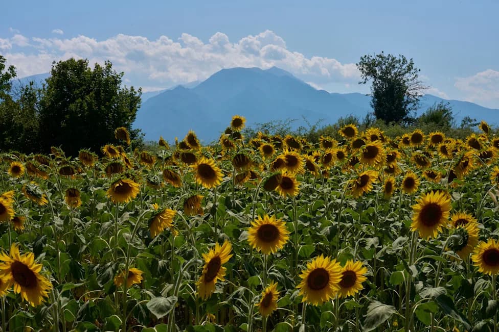 Olimp Kandidat Za UNESCO: Mit, Priroda I Pritisak Turizma Na Najvišu Grčku Planinu