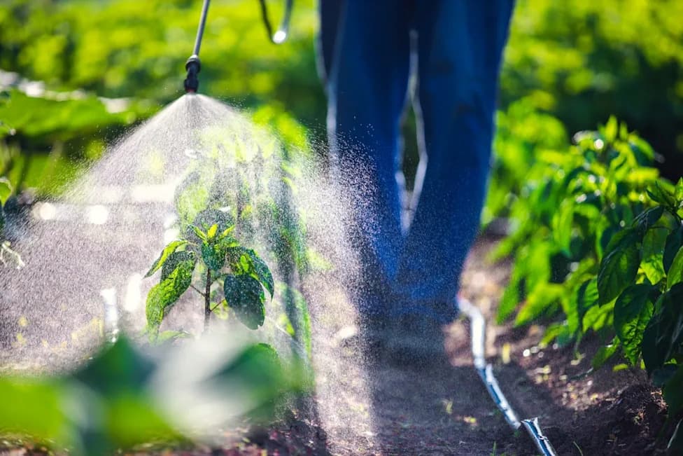 Tragedija u Ladera Ranchu: Više Dece Dijagnostikovano Retkim Karcinomima, Istraga Usmerena Na Pesticide