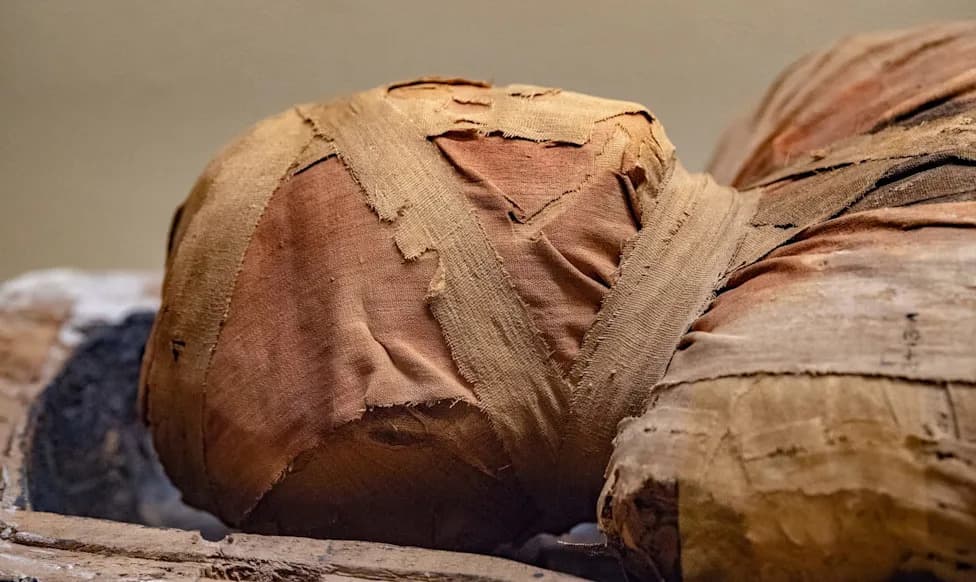 Ilijada Na Mumiji: Otkriven 1.600-godišnji Fragment U Oxyrhynchusu