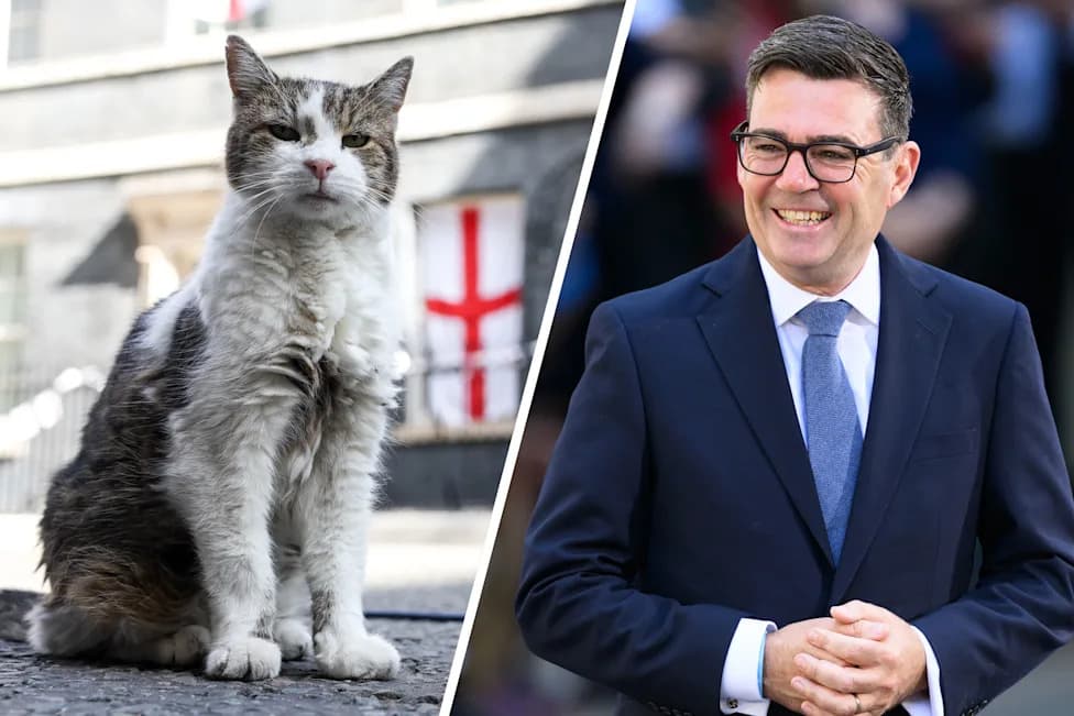 Larry, Mačak 10 Downing Streeta, Dočekuje Andyja Burnhama — 15 Godina 'Chief Mouser' U Fotografijama