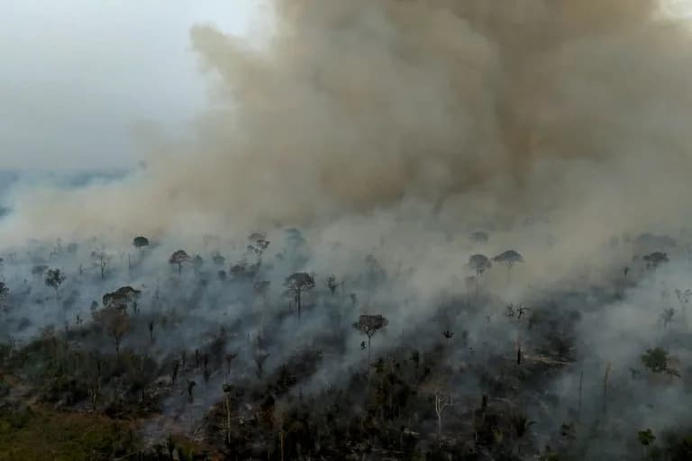 Požari u brazilskoj Amazoni 2025. pali na rekordno nizak nivo — izgorelo 3,1 miliona ha