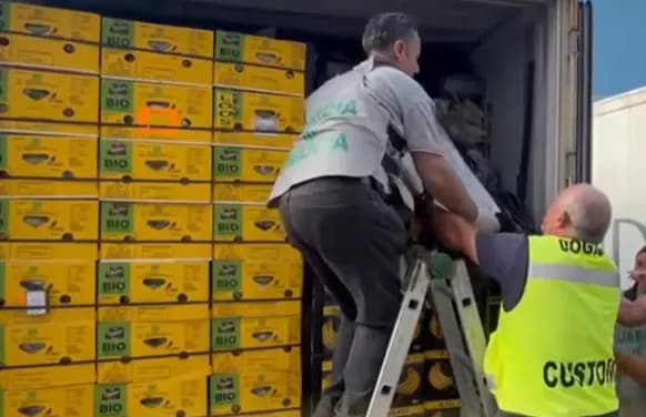 Italijanska policija zaplenila oko 1.700 funti kokaina sakrivenog u pošiljci banana u Vado Ligureu