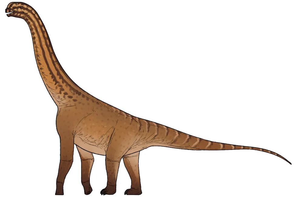 Najstariji neosauropod otkriven u Indiji — fosil pomera istoriju za 10 miliona godina