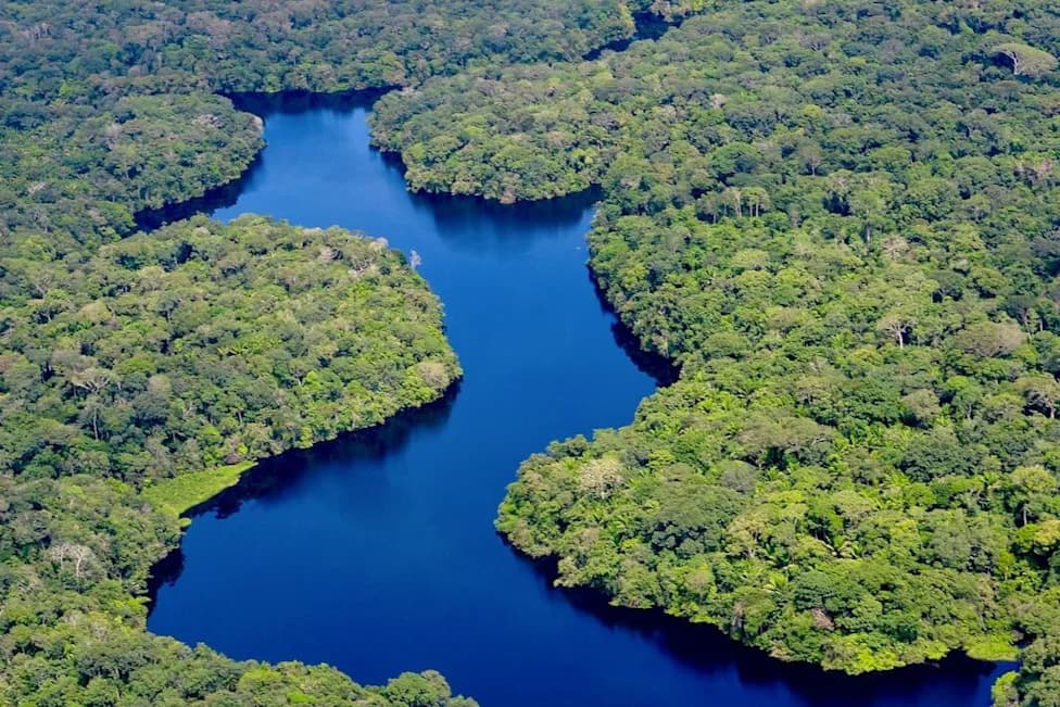 Oštar Pad Požara u Brazilskom Amazonu — 7,7 Miliona Akri Izgorjelo 2025.