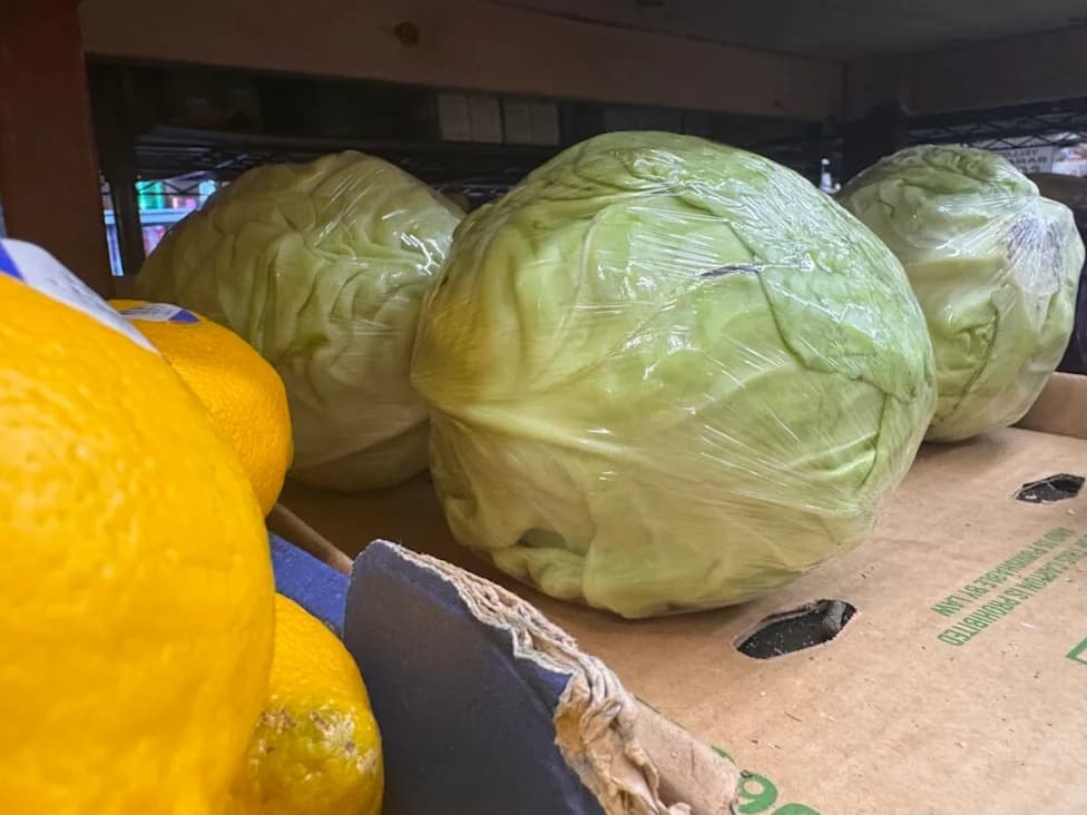 Izbijanje ciklosporijaze u SAD: Potvrđeni slučajevi prešli 4.173 — salate pod sumnjom